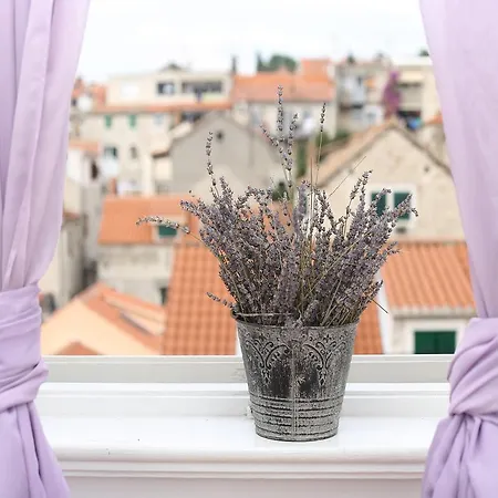 Apartment Liatris Split