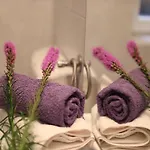 דירה Liatris *